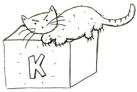 grumpy cat sitting on a box